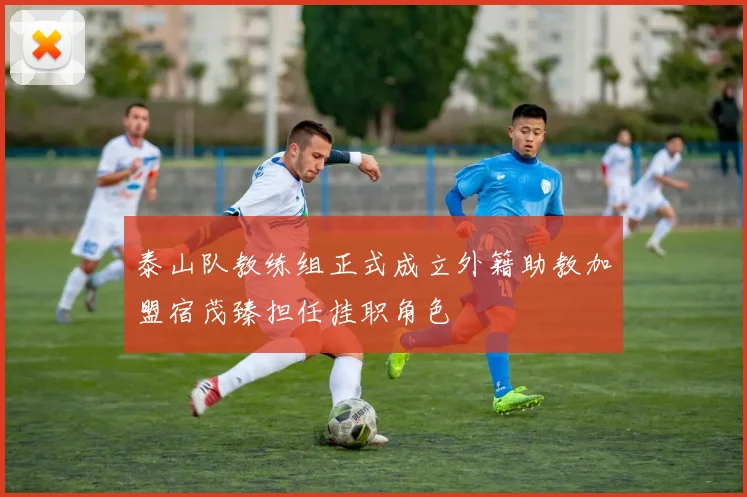 泰山队教练组正式成立外籍助教加盟宿茂臻担任挂职角色