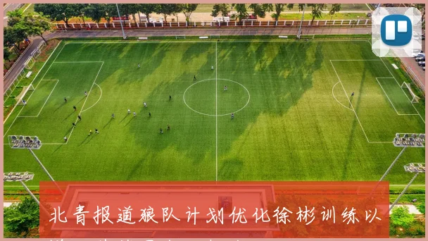 北青报道狼队计划优化徐彬训练以增加其英甲出场机会